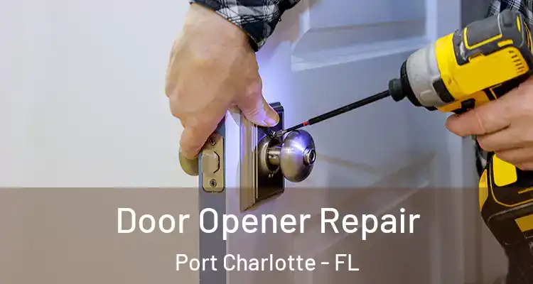 Door Opener Repair Port Charlotte - FL