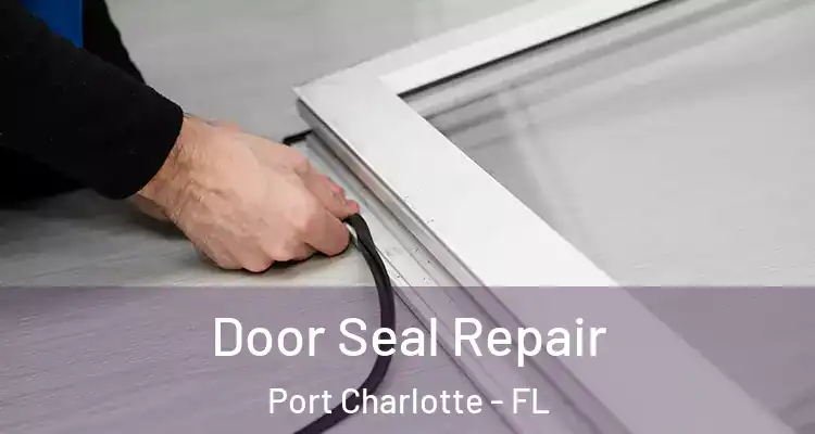  Door Seal Repair Port Charlotte - FL