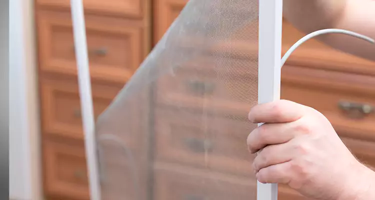 Privacy Mesh Screen Door Installation in Port Charlotte, FL