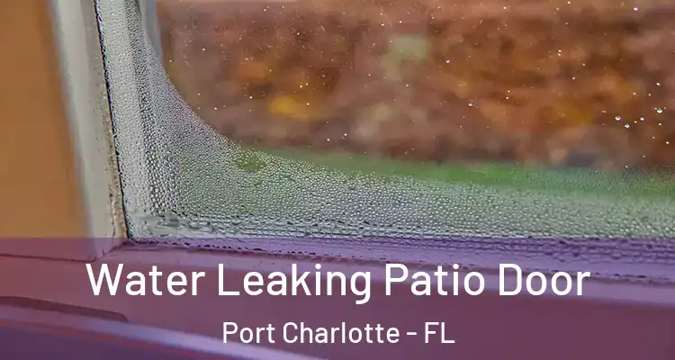  Water Leaking Patio Door Port Charlotte - FL